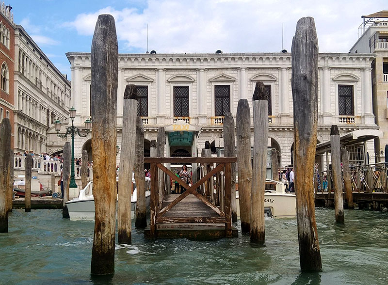 Венеция и лиственница